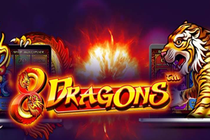 8 Dragons
