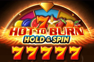 Hot to Burn Hold and Spin